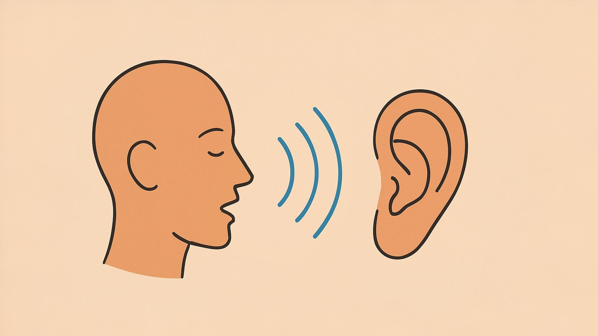 صدا چگونه کار میکند: از لرزش امواج تا شنیدن و حرف زدن ما